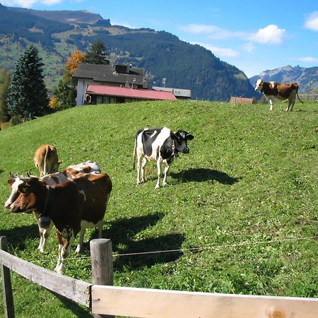 Hotel Alpenhof à Grindelwald Extérieur photo