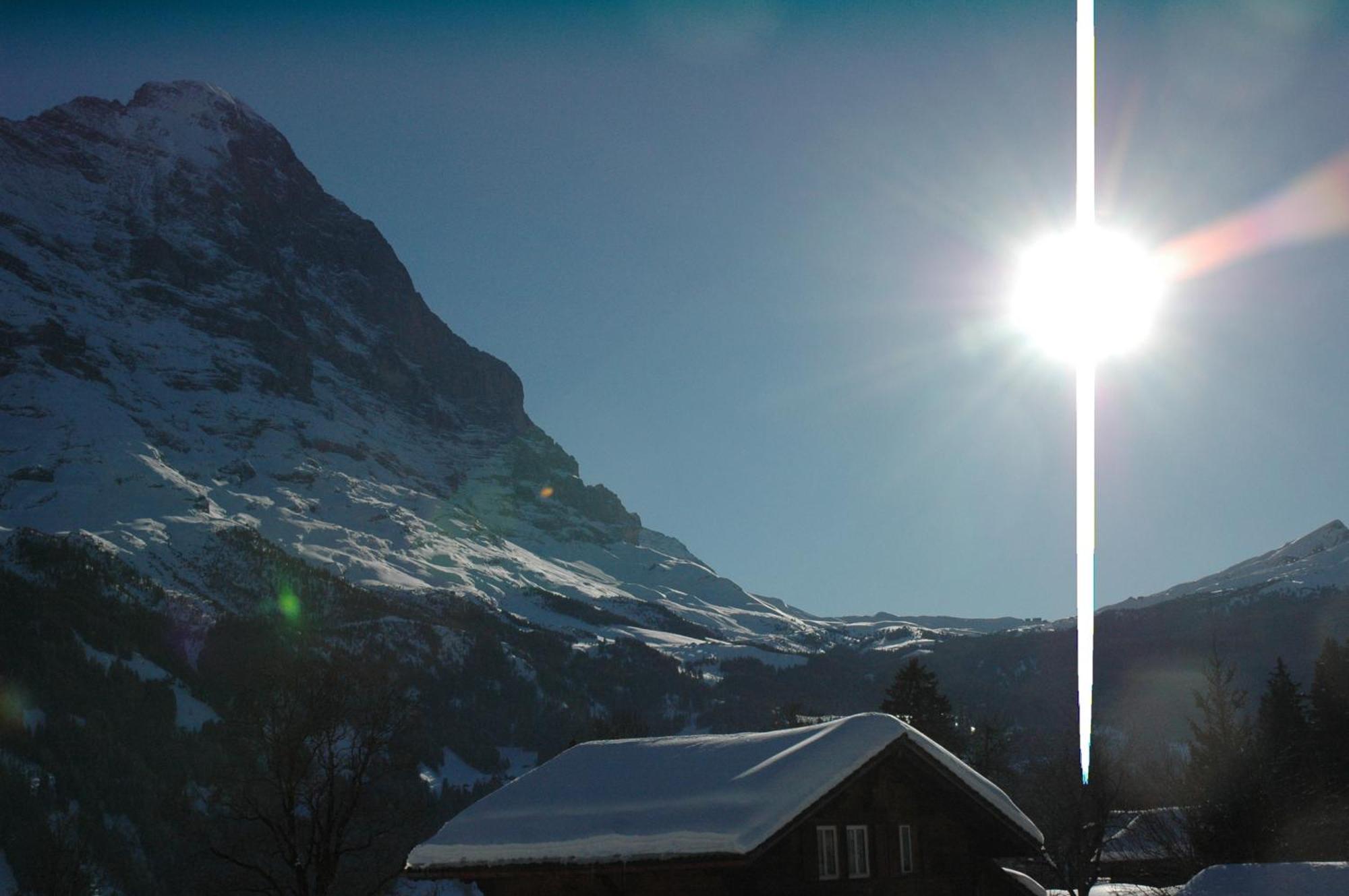 Hotel Alpenhof à Grindelwald Extérieur photo
