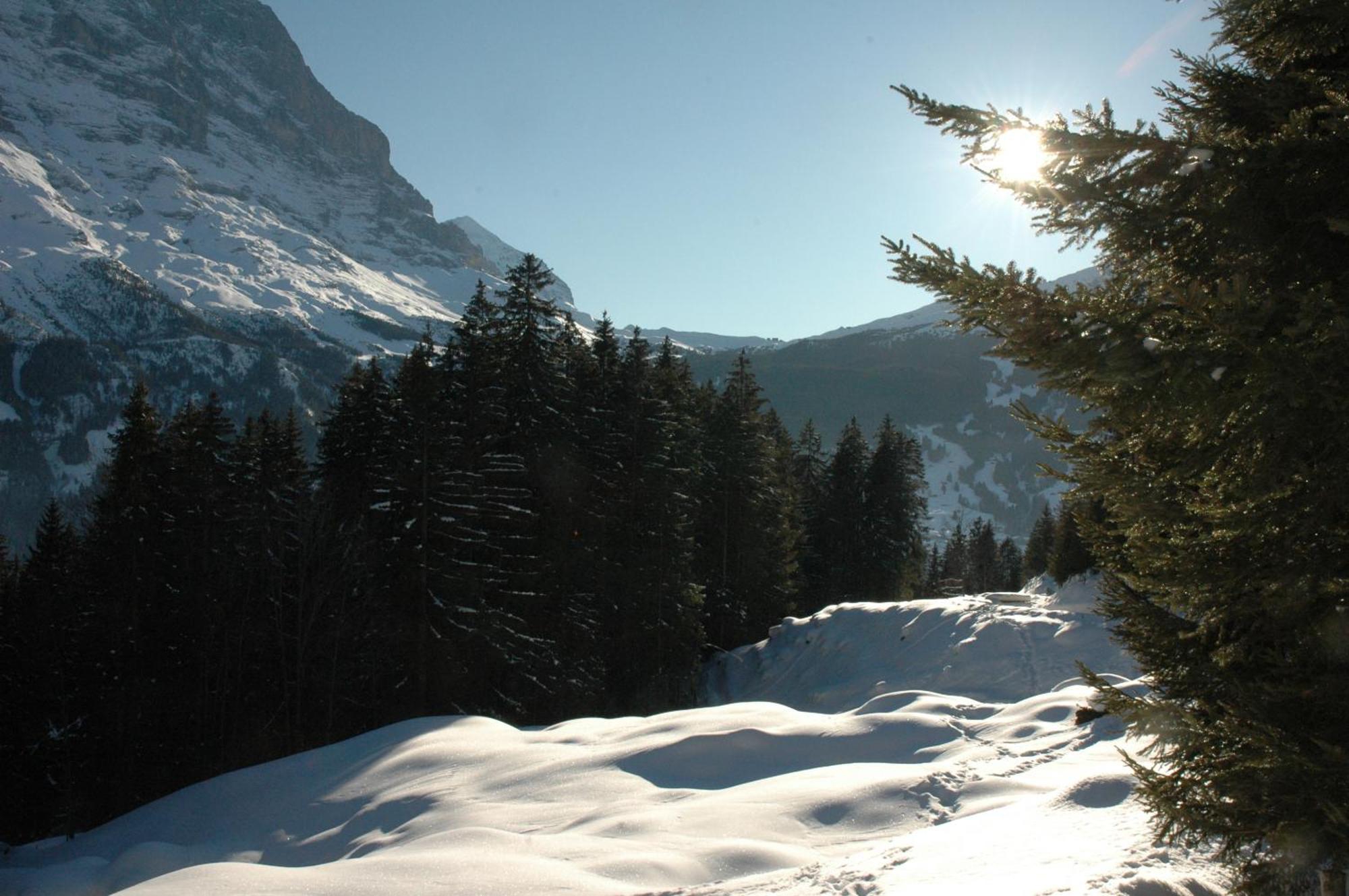 Hotel Alpenhof à Grindelwald Extérieur photo