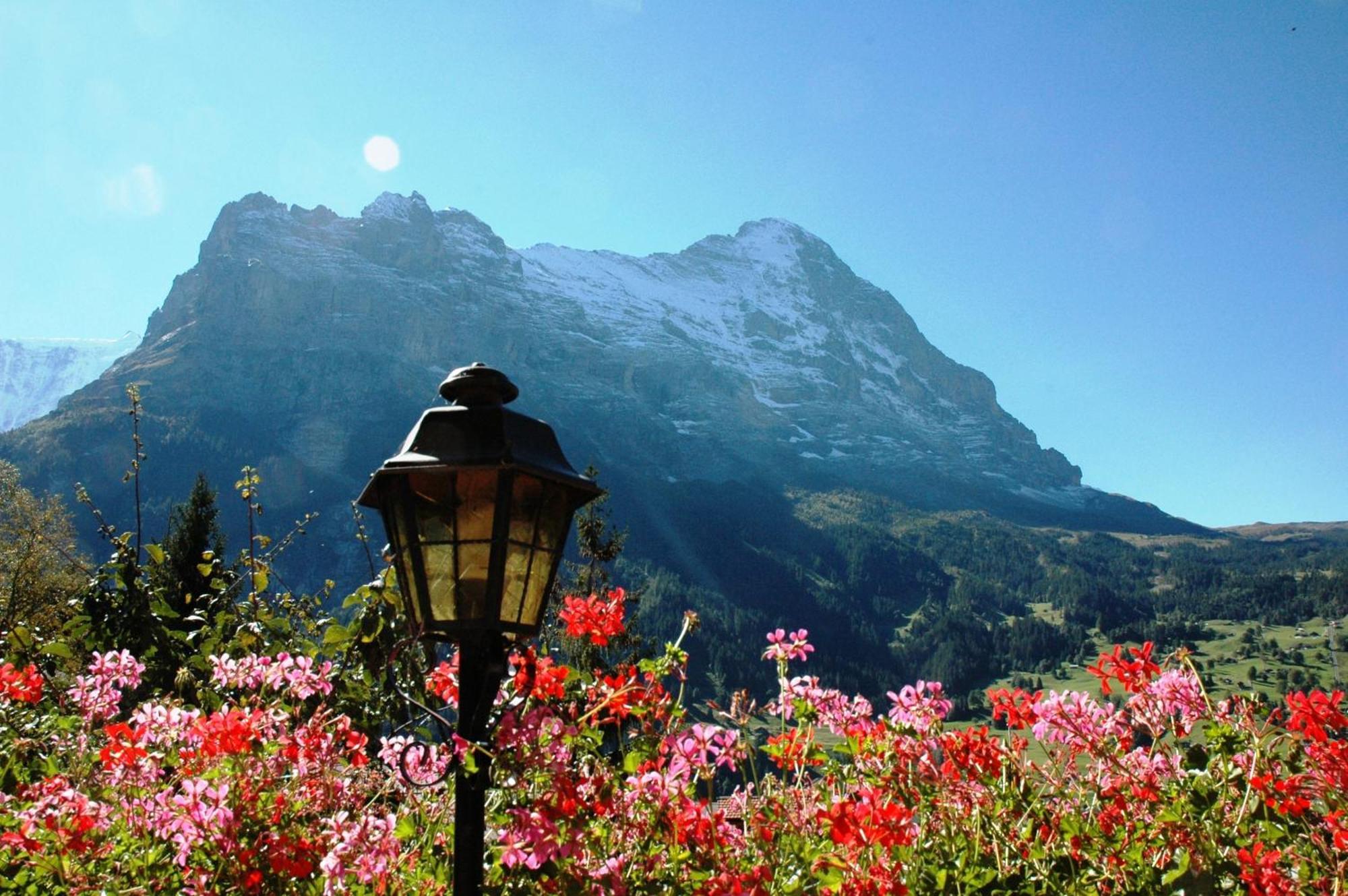 Hotel Alpenhof à Grindelwald Extérieur photo