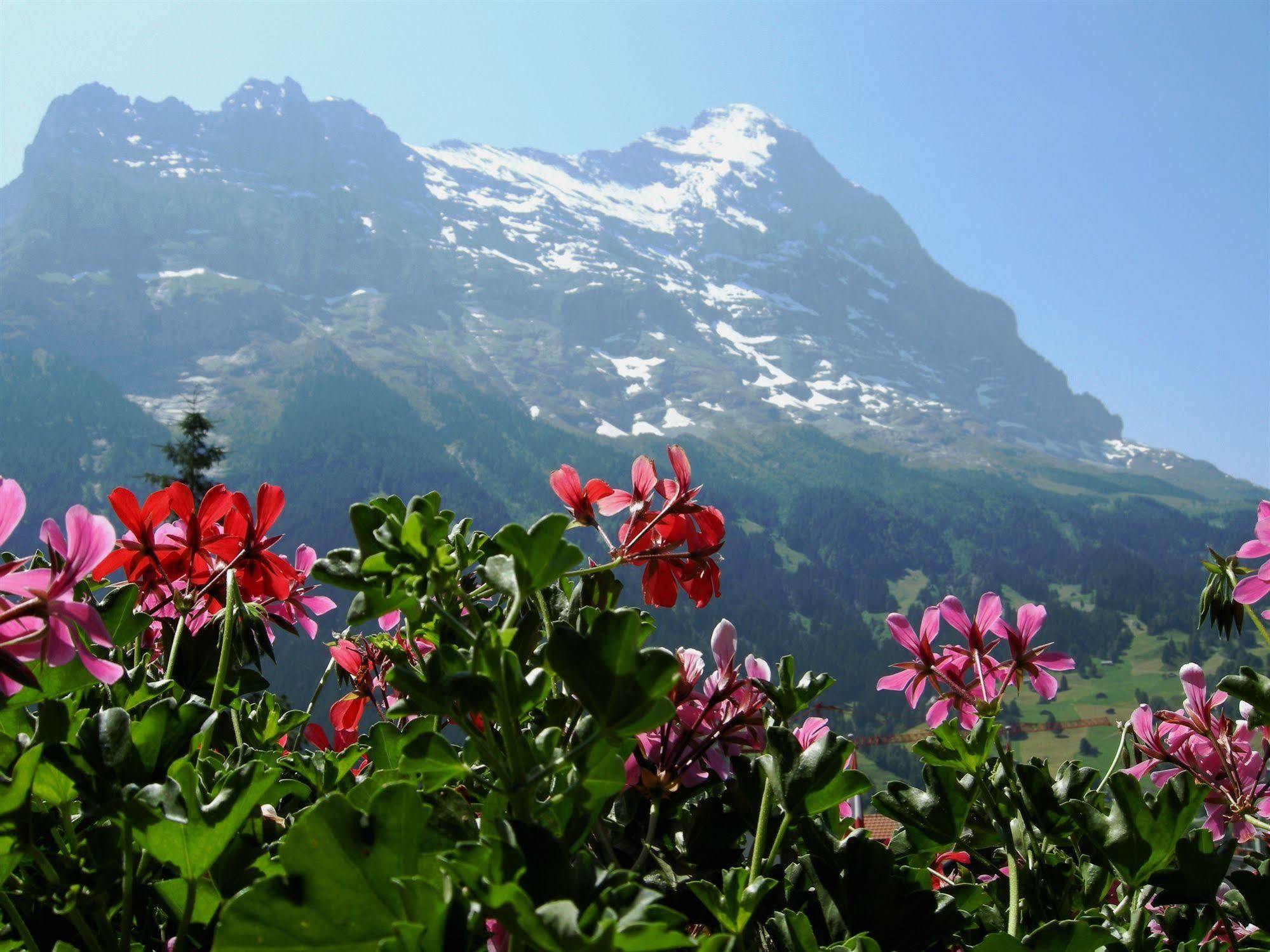 Hotel Alpenhof à Grindelwald Extérieur photo