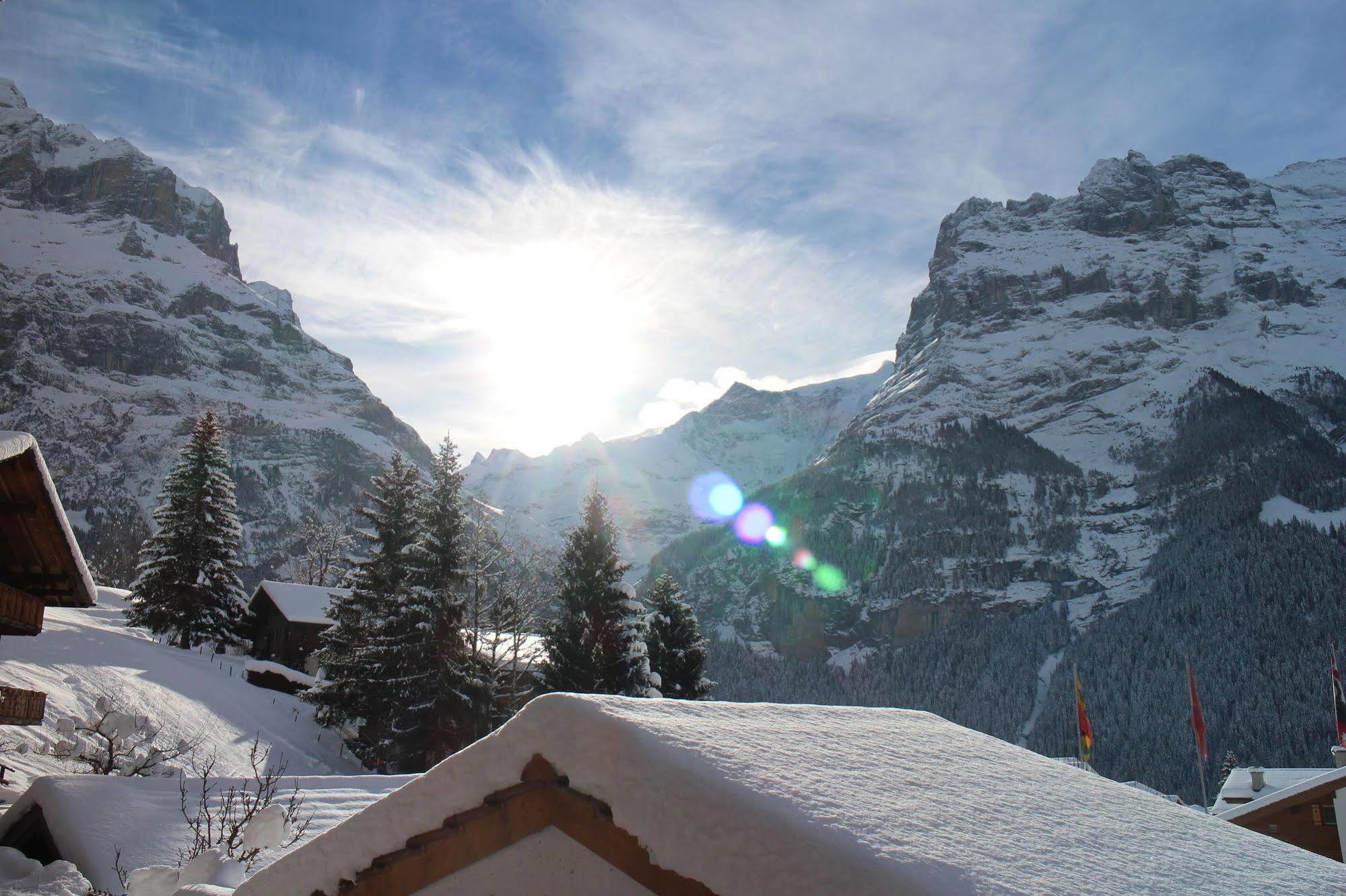 Hotel Alpenhof à Grindelwald Extérieur photo